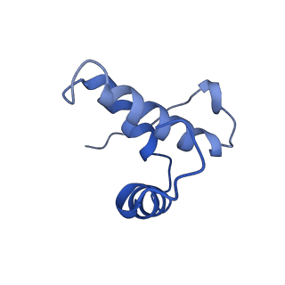 16491_8c8q_J_v1-0
Cytochrome c oxidase from Schizosaccharomyces pombe
