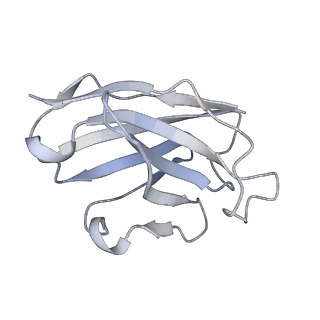 16493_8c8t_C_v1-2
cryo-EM structure of BG505 SOSIP.664 HIV-1 Env trimer in complex with bNAbs EPTC112 and 3BNC117
