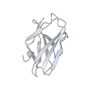 16493_8c8t_D_v1-2
cryo-EM structure of BG505 SOSIP.664 HIV-1 Env trimer in complex with bNAbs EPTC112 and 3BNC117