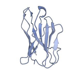 16493_8c8t_H_v1-2
cryo-EM structure of BG505 SOSIP.664 HIV-1 Env trimer in complex with bNAbs EPTC112 and 3BNC117