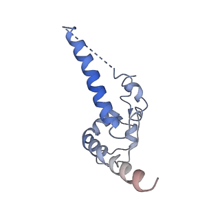 16493_8c8t_I_v1-2
cryo-EM structure of BG505 SOSIP.664 HIV-1 Env trimer in complex with bNAbs EPTC112 and 3BNC117