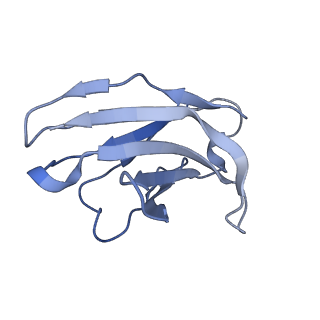 16493_8c8t_S_v1-2
cryo-EM structure of BG505 SOSIP.664 HIV-1 Env trimer in complex with bNAbs EPTC112 and 3BNC117