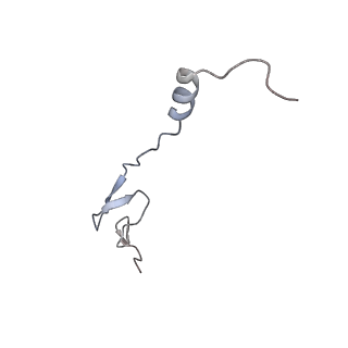 16494_8c8x_0_v1-0
Cryo-EM captures early ribosome assembly in action
