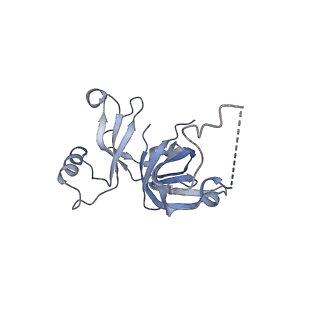 16494_8c8x_D_v1-0
Cryo-EM captures early ribosome assembly in action