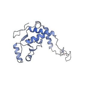 16494_8c8x_E_v1-0
Cryo-EM captures early ribosome assembly in action