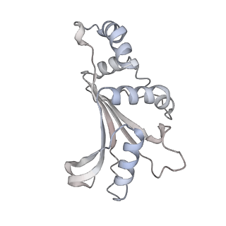 16494_8c8x_F_v1-0
Cryo-EM captures early ribosome assembly in action