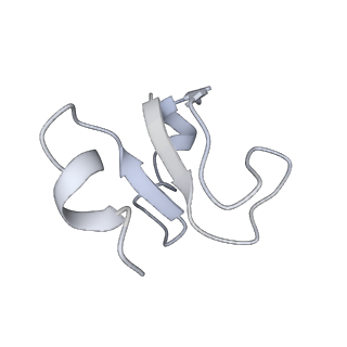 16494_8c8x_H_v1-0
Cryo-EM captures early ribosome assembly in action