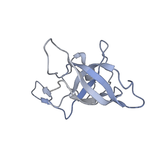 16494_8c8x_K_v1-0
Cryo-EM captures early ribosome assembly in action