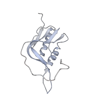 16494_8c8x_M_v1-0
Cryo-EM captures early ribosome assembly in action