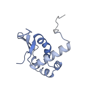 16494_8c8x_N_v1-0
Cryo-EM captures early ribosome assembly in action