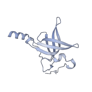 16494_8c8x_P_v1-0
Cryo-EM captures early ribosome assembly in action