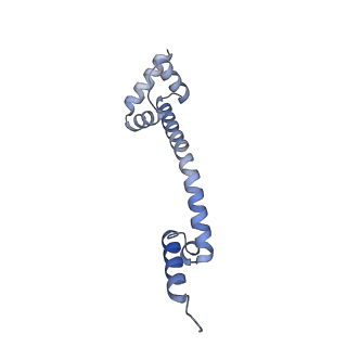 16494_8c8x_Q_v1-0
Cryo-EM captures early ribosome assembly in action