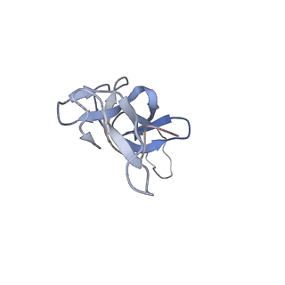 16494_8c8x_U_v1-0
Cryo-EM captures early ribosome assembly in action