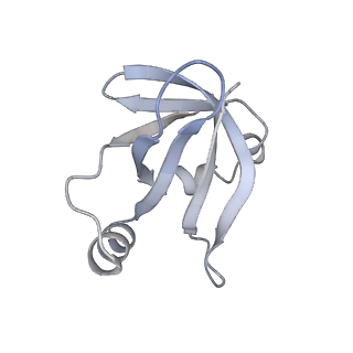 16494_8c8x_V_v1-0
Cryo-EM captures early ribosome assembly in action