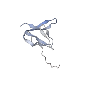 16494_8c8x_W_v1-0
Cryo-EM captures early ribosome assembly in action