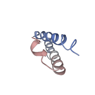 16494_8c8x_Y_v1-0
Cryo-EM captures early ribosome assembly in action