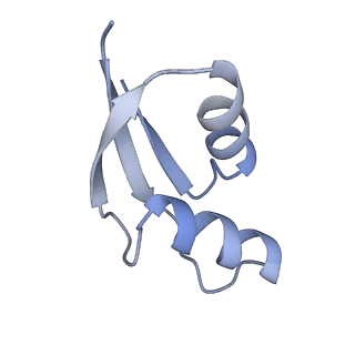 16494_8c8x_Z_v1-0
Cryo-EM captures early ribosome assembly in action