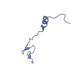 16495_8c8y_0_v1-0
Cryo-EM captures early ribosome assembly in action