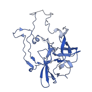 16495_8c8y_C_v1-0
Cryo-EM captures early ribosome assembly in action