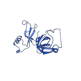 16495_8c8y_D_v1-0
Cryo-EM captures early ribosome assembly in action