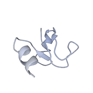 16495_8c8y_H_v1-0
Cryo-EM captures early ribosome assembly in action