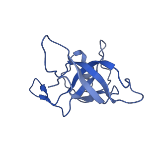 16495_8c8y_K_v1-0
Cryo-EM captures early ribosome assembly in action