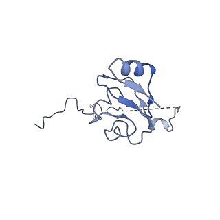16495_8c8y_L_v1-0
Cryo-EM captures early ribosome assembly in action