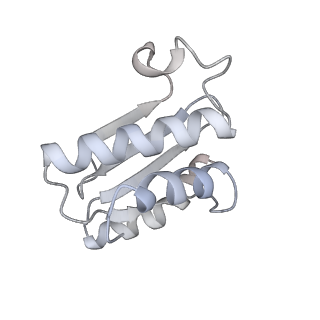 16495_8c8y_O_v1-0
Cryo-EM captures early ribosome assembly in action