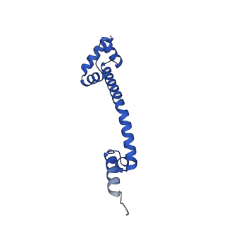 16495_8c8y_Q_v1-0
Cryo-EM captures early ribosome assembly in action