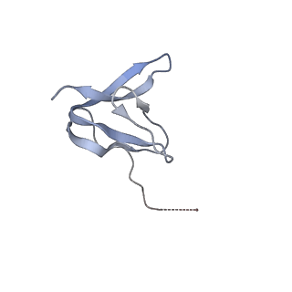 16495_8c8y_W_v1-0
Cryo-EM captures early ribosome assembly in action