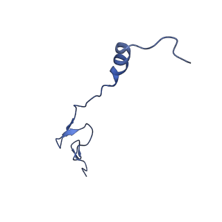 16496_8c8z_0_v1-0
Cryo-EM captures early ribosome assembly in action