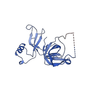 16496_8c8z_D_v1-0
Cryo-EM captures early ribosome assembly in action