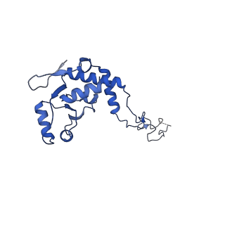 16496_8c8z_E_v1-0
Cryo-EM captures early ribosome assembly in action