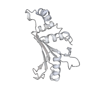 16496_8c8z_F_v1-0
Cryo-EM captures early ribosome assembly in action