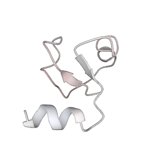 16496_8c8z_H_v1-0
Cryo-EM captures early ribosome assembly in action