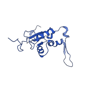 16496_8c8z_J_v1-0
Cryo-EM captures early ribosome assembly in action