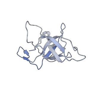 16496_8c8z_K_v1-0
Cryo-EM captures early ribosome assembly in action