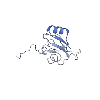 16496_8c8z_L_v1-0
Cryo-EM captures early ribosome assembly in action