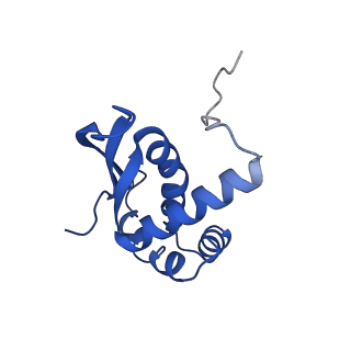16496_8c8z_N_v1-0
Cryo-EM captures early ribosome assembly in action