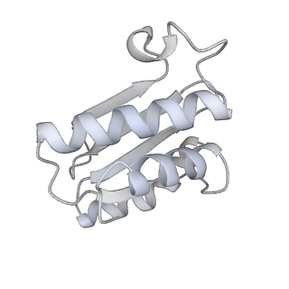 16496_8c8z_O_v1-0
Cryo-EM captures early ribosome assembly in action