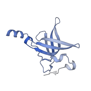 16496_8c8z_P_v1-0
Cryo-EM captures early ribosome assembly in action