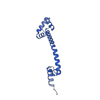 16496_8c8z_Q_v1-0
Cryo-EM captures early ribosome assembly in action