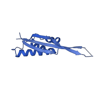 16496_8c8z_S_v1-0
Cryo-EM captures early ribosome assembly in action