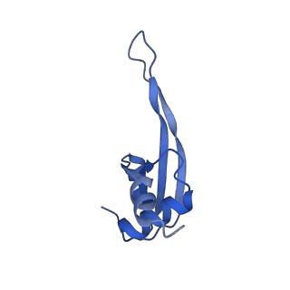 16496_8c8z_T_v1-0
Cryo-EM captures early ribosome assembly in action