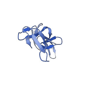 16496_8c8z_U_v1-0
Cryo-EM captures early ribosome assembly in action