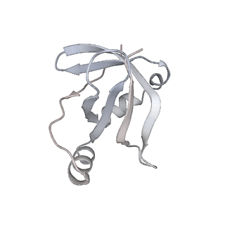 16496_8c8z_V_v1-0
Cryo-EM captures early ribosome assembly in action