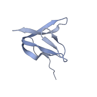 16496_8c8z_W_v1-0
Cryo-EM captures early ribosome assembly in action