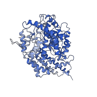 30305_7c8d_A_v1-1
Cryo-EM structure of cat ACE2 and SARS-CoV-2 RBD