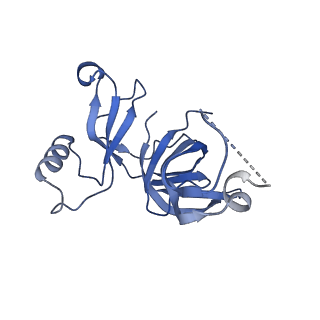 16497_8c90_D_v1-0
Cryo-EM captures early ribosome assembly in action