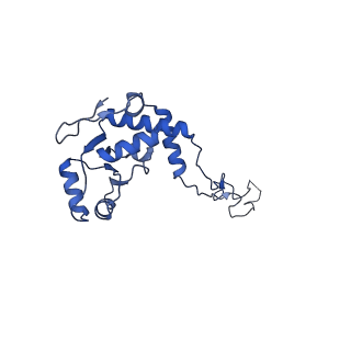 16497_8c90_E_v1-0
Cryo-EM captures early ribosome assembly in action